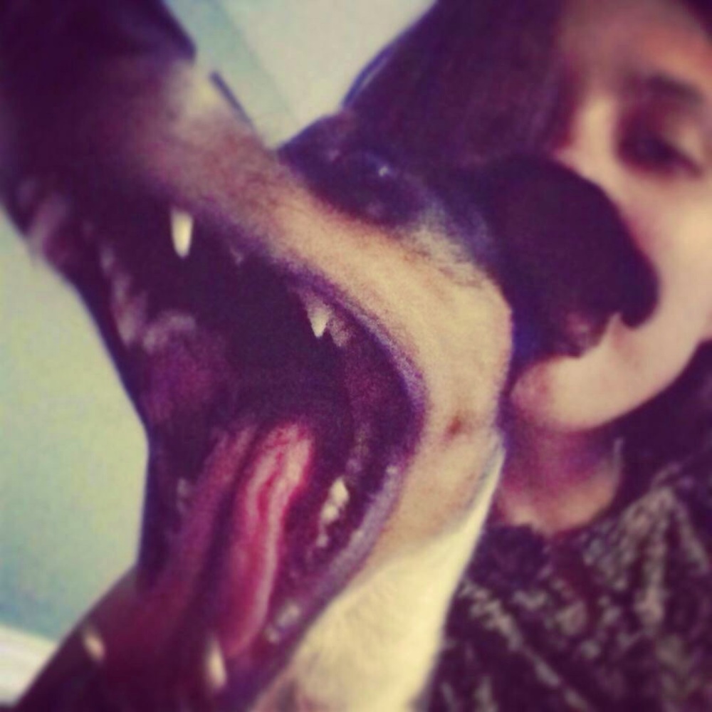 Meet your Posher, Betty